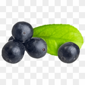 What Is Açaí - Transparent Acai Berry Png, Png Download - medicine png images