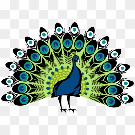 Peafowl Clip Art - Transparent Background Peacock Clipart, HD Png Download - peacock feather png hd