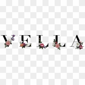 Vella Mour - Garden Roses, HD Png Download - ouija board png