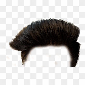 Stylish Hair Png Hd - New Hair Png Download, Transparent Png - vhv