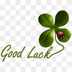 Download Nothing But Good Luck - Good Luck Exam Clipart, HD Png Download - best of luck png