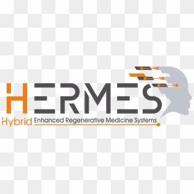 Hermes Project, Our Involvement In Regenerative Medicine - Glas Ceyssens, HD Png Download - medicine png images