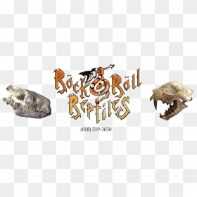 Rock N Roll Reptiles - Cartoon, HD Png Download - rock and roll png