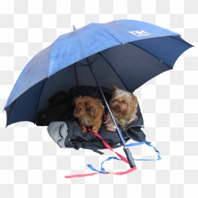 Alone With Dog Rain, HD Png Download - farewell png