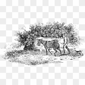 Day A Pastoral P13 - Illustration, HD Png Download - indian ox png