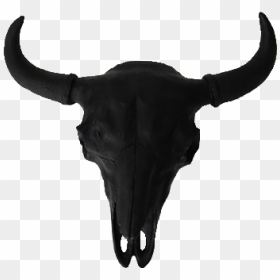 Black Bull Transparent Background, HD Png Download - skull png tumblr