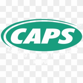 Clip Art, HD Png Download - education cap png
