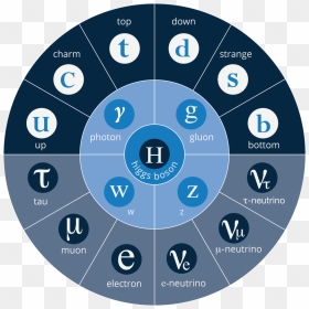 The Physics , Png Download - Standard Model Physics Png, Transparent Png - physics png