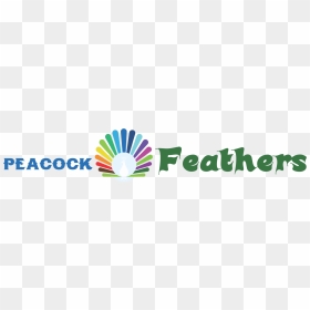 Graphic Design, HD Png Download - peacock feather png images