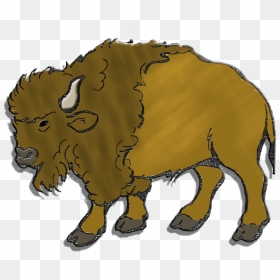 Herd Clipart Buffalo - Bison Clipart, HD Png Download - indian ox png