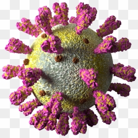 Bouquet, HD Png Download - surprised patrick png
