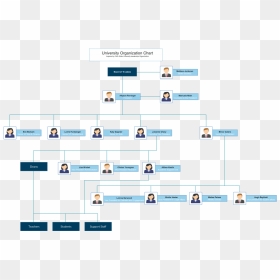 Org Chart Template For University - Hotel Organizational Chart Sample, HD Png Download - business growth chart png