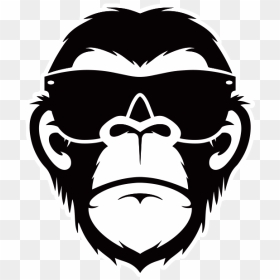 Shady Ape - Transparent Ape Face Png, Png Download - ape png