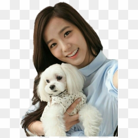 Jisoo Blackpink With Dog, HD Png Download - blackpink png
