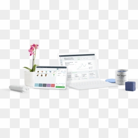 Full Image1 - Personal Computer, HD Png Download - ipad png transparent