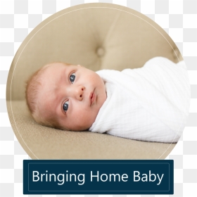 Infant , Png Download - Windows Longhorn Boot Screen, Transparent Png - babies png