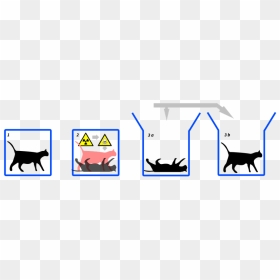 Physics-3864568 960 720 - Schrodinger's Cat, HD Png Download - physics png