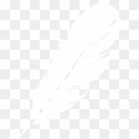 Feather Clipart Logo Image Download - White Feather With No Background, HD Png Download - feather logo png