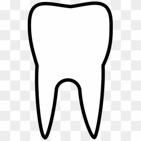 Dente Molar Png, Transparent Png - dentist png