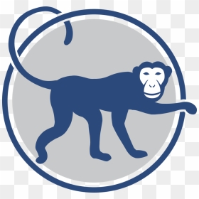 Monkey Icon-min, HD Png Download - real monkey png
