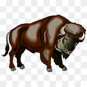 Buffalo Clipart Bison - Free Clip Art Buffalo, HD Png Download - indian ox png
