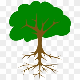 Apple Tree With Roots, HD Png Download - root png