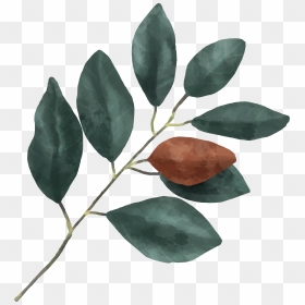 Flower, HD Png Download - gon png