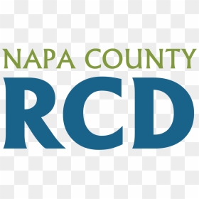 Napa Rcd Logo, HD Png Download - napa logo png