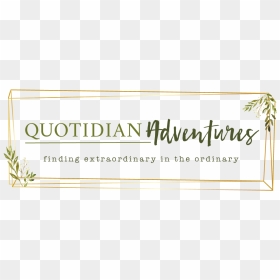 Quotidian Adventures - Calligraphy, HD Png Download - advent wreath png