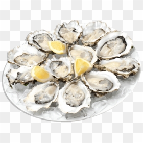 Oysters Clip Arts - Oysters Png, Transparent Png - oysters png