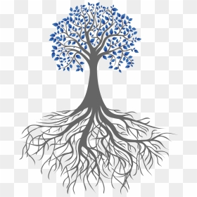 Root Portable Network Graphics Clip Art Tree Branch - Simple Black White Drawings, HD Png Download - root png