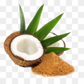Thenarasu Cocont Neera Sugar - Coconut Sugar, HD Png Download - tender coconut png