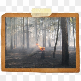 Picture Frame, HD Png Download - smoke plume png