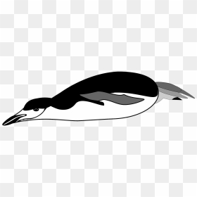 Black And White Penguin Diving, HD Png Download - swim png