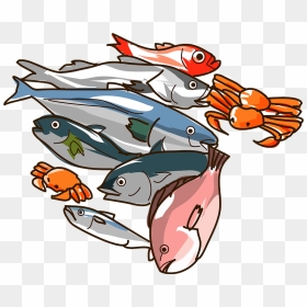 Seafood Fishes Clipart, HD Png Download - seafood png