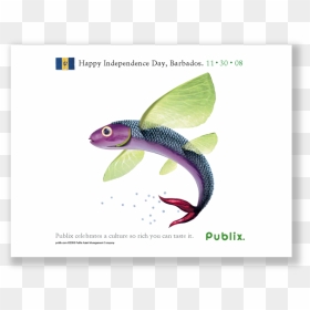 Publix Caribbean Fish Ad - Cartoon, HD Png Download - publix png
