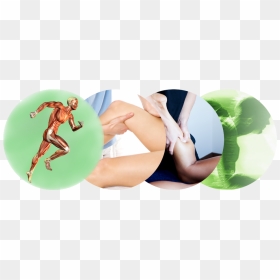 Sports Massage Png - Deep Tissue Massage Free, Transparent Png - massage png