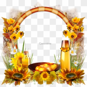 199379clustertournesol - Cluster Tournesol Png, Transparent Png - birthday photo frames png