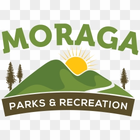 Sitka Spruce, HD Png Download - garage sale png