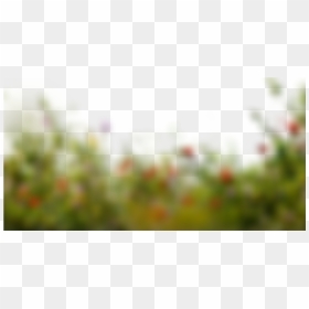 Bokeh Background By Learningwithsr - Background Picsart Png, Transparent Png - png background for picsart