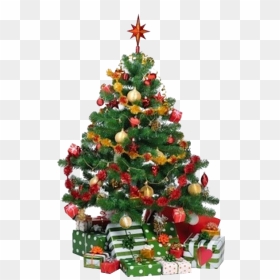 Christmas Pine Cones, Christmas Tree Care, Beautiful - Decorated Christmas Tree Cartoon, HD Png Download - animated tree png