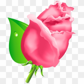 Rose Bud Png Clipart - Rose Buds Clipart, Transparent Png - graphic design art flower png