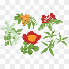 Frd Gbdbg Darwin Grown Graphics Flowers, HD Png Download - graphic design art flower png