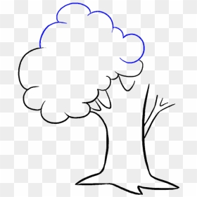 How To Draw Cartoon Tree - Cartoon Tree Line Drawing, HD Png Download - animated tree png