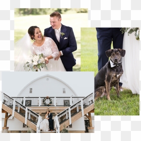 Wedding, HD Png Download - wedding couples png