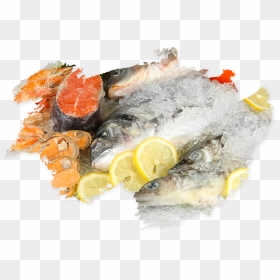 Oily Fish, HD Png Download - seafood png