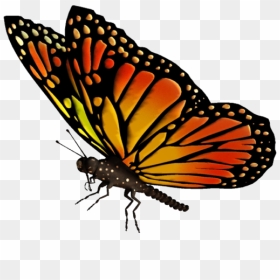 Flying Butterflies Transparent Png, Png Download - blue butterfly flying png