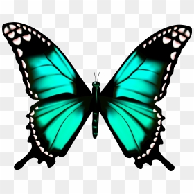 Animation Of A Butterfly, HD Png Download - blue butterfly flying png
