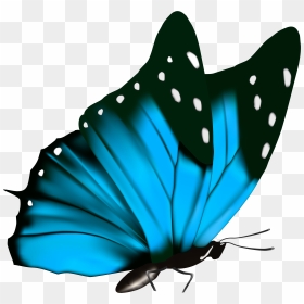 Free Png Butterfly - Transparent Background Butterfly Clipart, Png Download - blue butterfly flying png