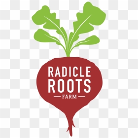 Root Png, Transparent Png - root png